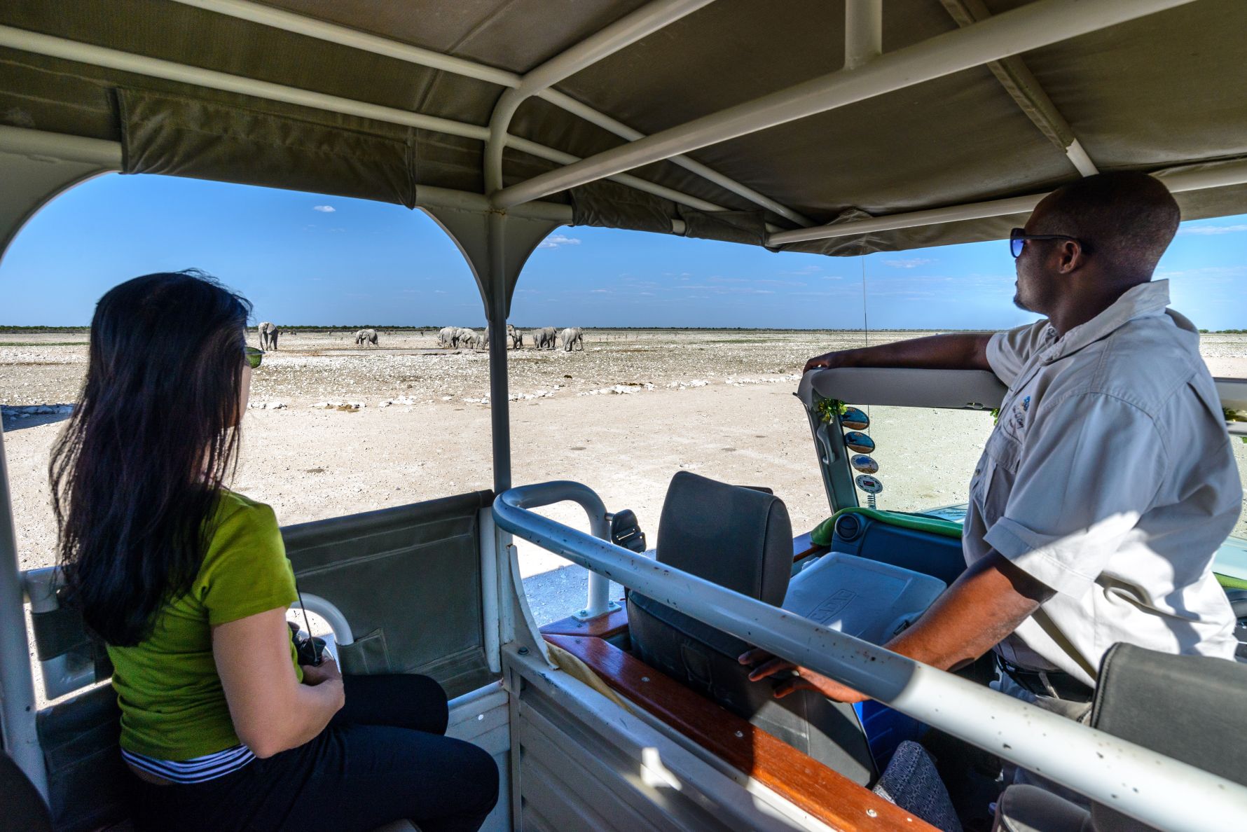 Game Drive in Etosha National Park