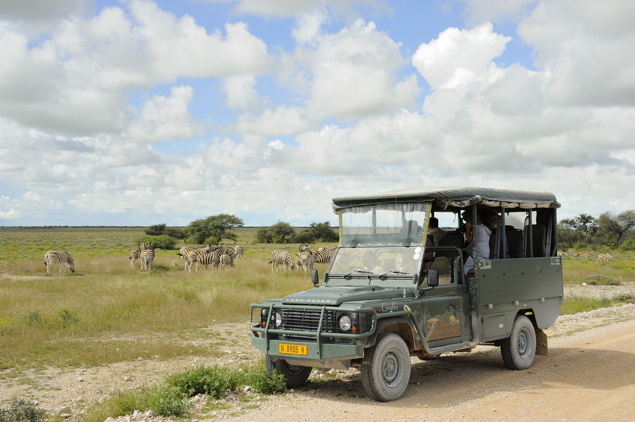 Safari game drive exploring the Andersson Gate region