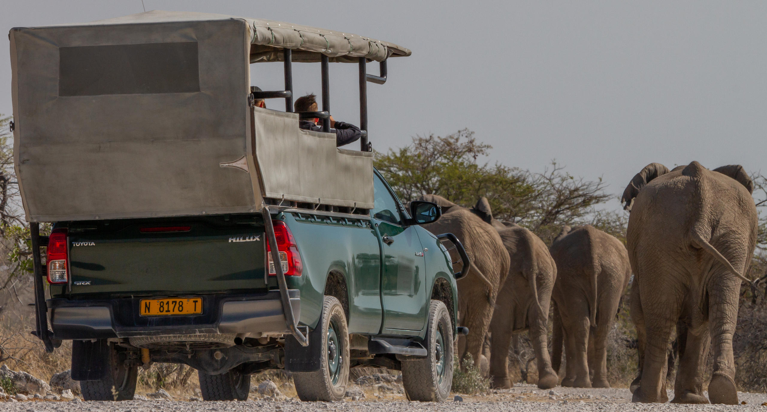Mushara Game Drive